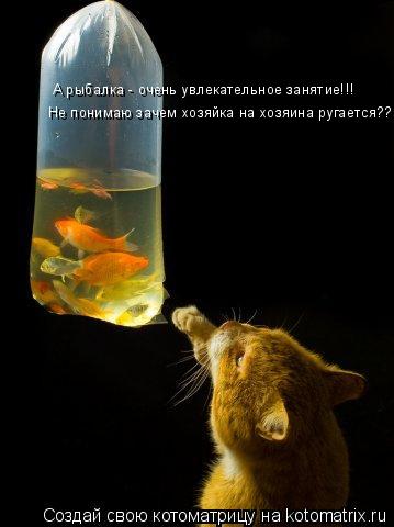 Котоматрица: А рыбалка - очень увлекательное занятие!!!  Не понимаю зачем хозяйка на хозяина ругается???