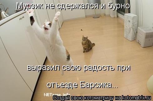 Котоматрица: Мурзик не сдержался и бурно выразил свою радость при  отъезде Барсика...