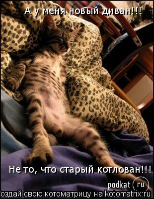 Котоматрица: А у меня новый диван!!! Не то, что старый котлован!!!