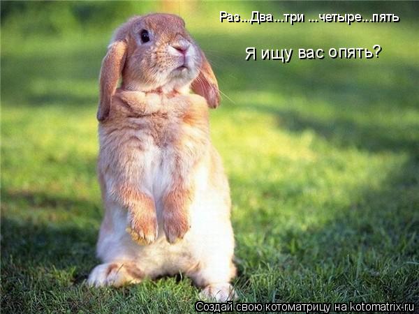 Котоматрица: Раз...Два...три ...четыре...пять Я ищу вас опять? Я ищу вас опять?