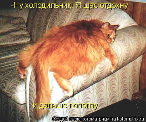 Котоматрица: -Ну холодильник! Я щас отдохну и дальше поползу...
