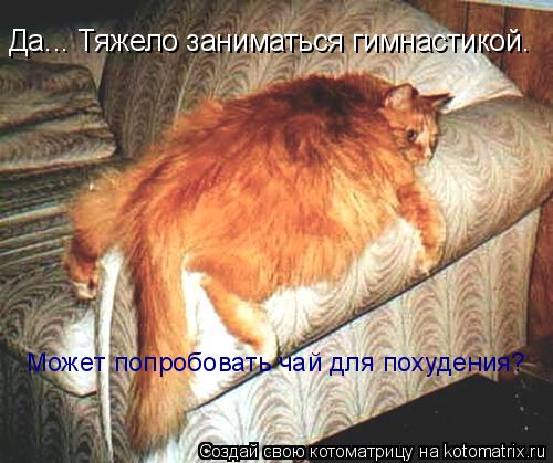 Котоматрица: Да... Тяжело заниматься гимнастикой. Может попробовать чай для похудения?