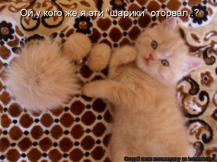 Котоматрица: Ой,у кого же я эти "шарики" оторвал..?