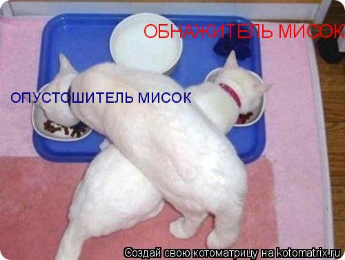 ОБНАЖИТЕЛЬ МИСОК ОПУСТОШИТЕЛЬ МИСОК... Котоматрица: ОБНАЖИТЕЛЬ МИСОК ОПУСТОШИТЕЛЬ МИСОК