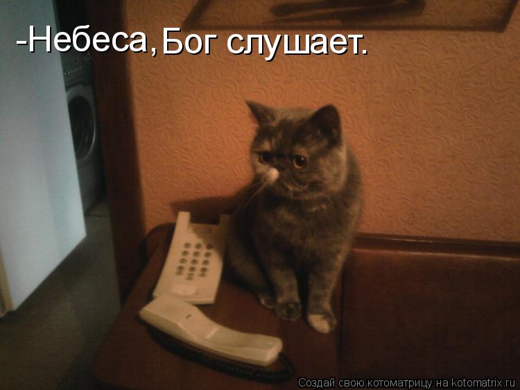 -Небеса, Бог слушает.... Котоматрица: -Небеса, Бог слушает.