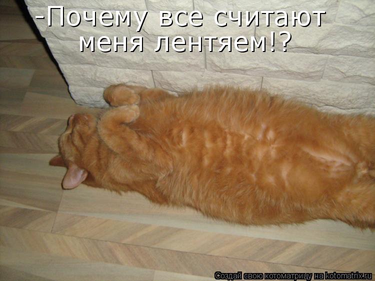 -Почему все считают меня лентяем!?... Котоматрица: -Почему все считают меня лентяем!?