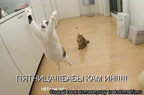 ПЯТНИЦА!!!БАБЫ КАМ ИН!!!!!... Котоматрица: ПЯТНИЦА!!!БАБЫ КАМ ИН!!!!!
