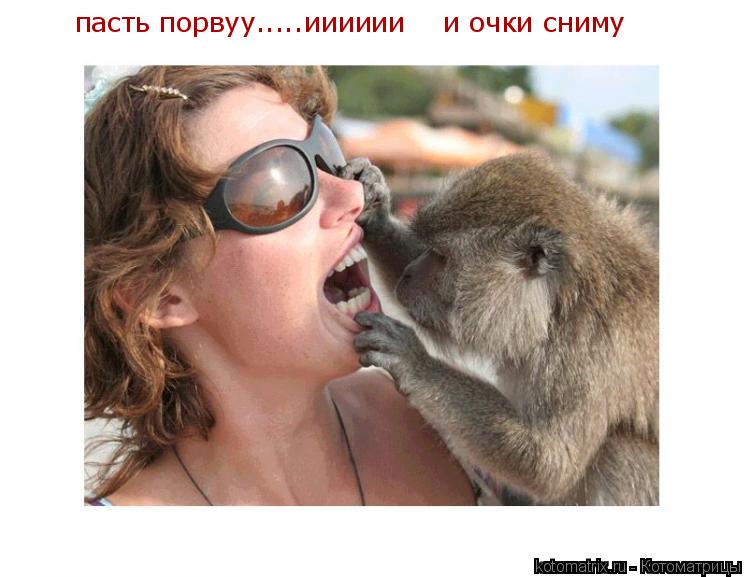 пасть порвуу.....ииииии и очки сниму... Котоматрица: пасть порвуу.....ииииии и очки сниму