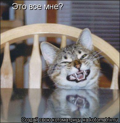 Это все мне?... Котоматрица: Это все мне?