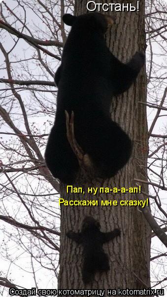 Отстань! Пап, ну па-а-а-ап! Расскажи мне сказку!... Котоматрица: Отстань! Пап, ну па-а-а-ап! Расскажи мне сказку!