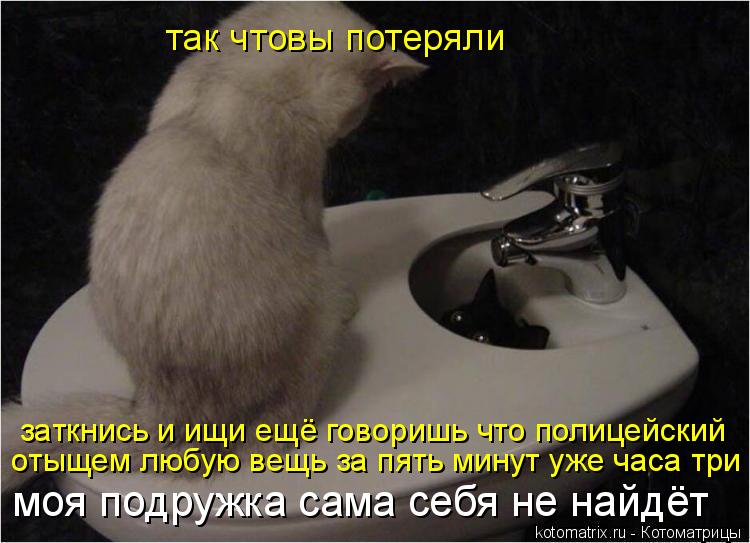 так чтовы потеряли заткнись и ищи ещё говоришь что полицейский отыщем любую вещь за пять минут уже ч... Котоматрица: так чтовы потеряли заткнись и ищи ещё говоришь что полицейский отыщем любую вещь за пять минут уже часа три прошло моя подружка сама себя н