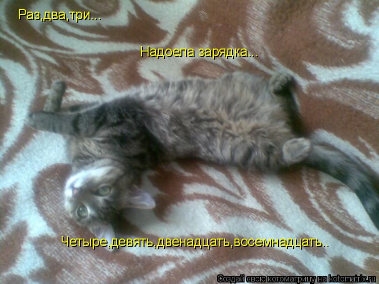 Раз,два,три... Надоела зарядка... Четыре,девять,двенадцать,восемнадцать..... Котоматрица: Раз,два,три... Надоела зарядка... Четыре,девять,двенадцать,восемнадцать..