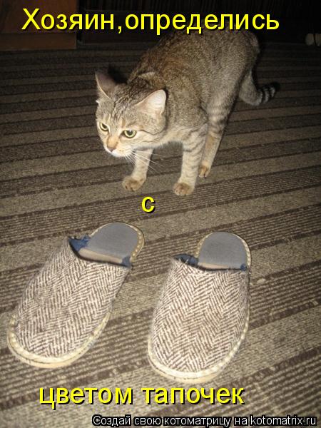 Котоматрица: Хозяин,определись с цветом тапочек