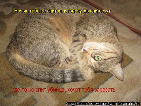 Ночью тебе не спится, в голову мысли лезут где-то не спит убийца, хочет тебя зарезать... Котоматрица: Ночью тебе не спится, в голову мысли лезут где-то не спит убийца, хочет тебя зарезать