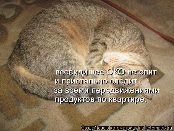 всевидищее ОКО не спит и пристально следит за всеми передвижениями продуктов по квартире.... Котоматрица: всевидищее ОКО не спит и пристально следит за всеми передвижениями продуктов по квартире.