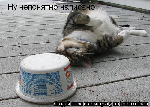Котоматрица: Ну непонятно написано!