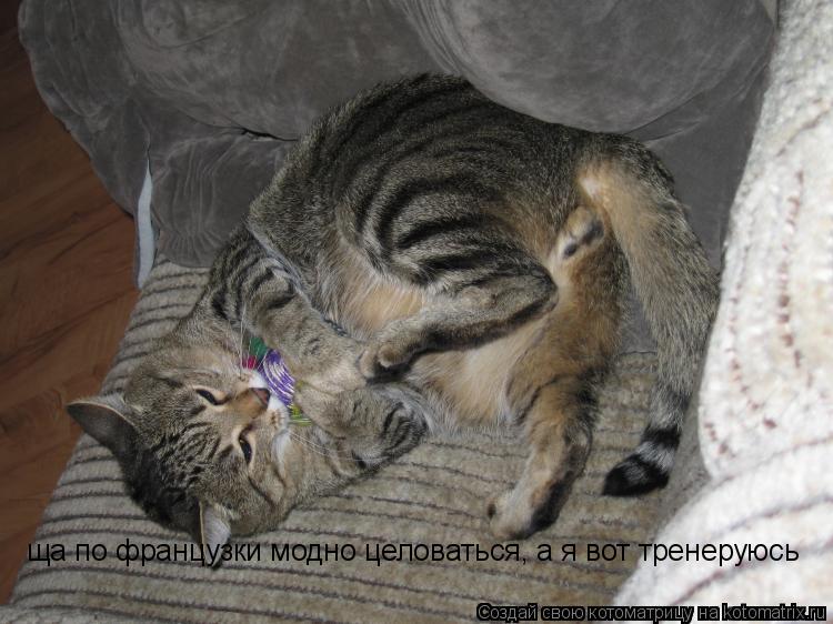 Котоматрица: ща по французки модно целоваться, а я вот тренеруюсь