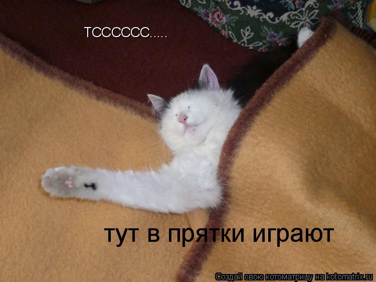 ТСССССС..... тут в прятки играют... Котоматрица: ТСССССС..... тут в прятки играют