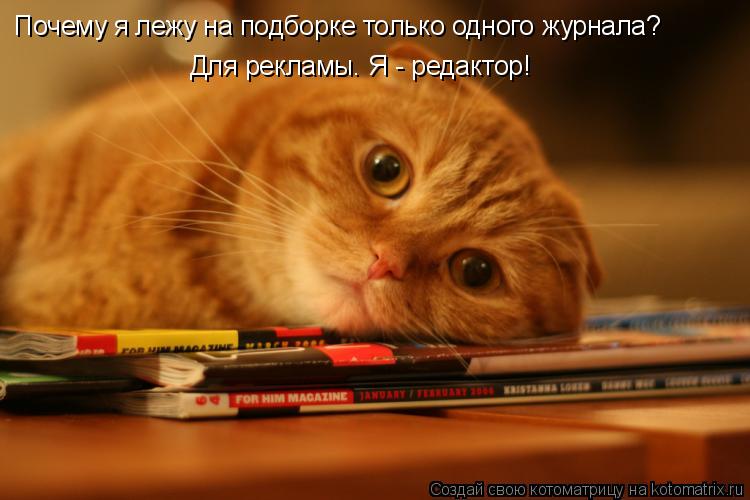 Почему я лежу на подборке только одного журнала? Для рекламы. Я - редактор!... Котоматрица: Почему я лежу на подборке только одного журнала? Для рекламы. Я - редактор!