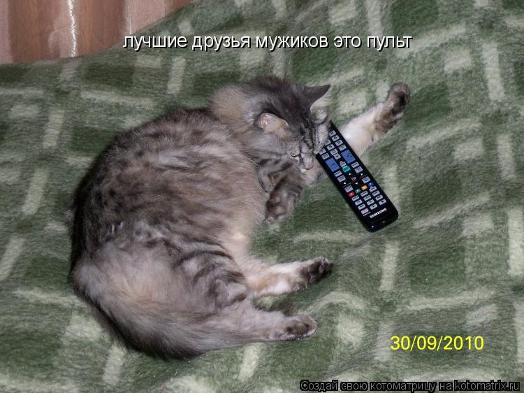 лучшие друзья мужиков это пульт... Котоматрица: лучшие друзья мужиков это пульт