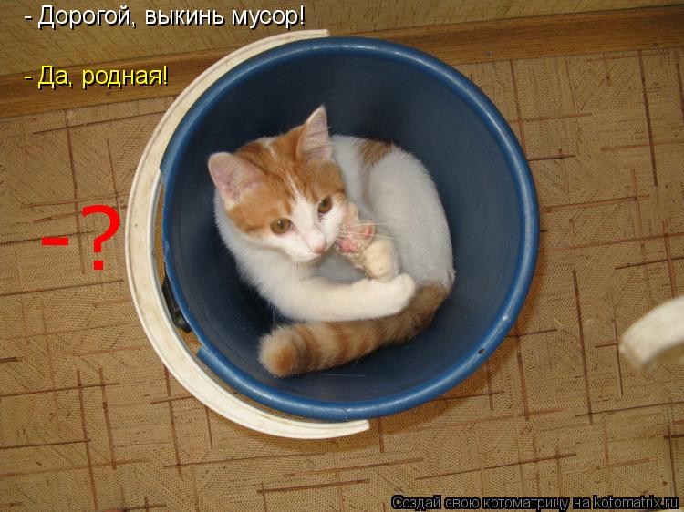 - Дорогой, выкинь мусор! - Да, родная! -?... Котоматрица: - Дорогой, выкинь мусор! - Да, родная! -?