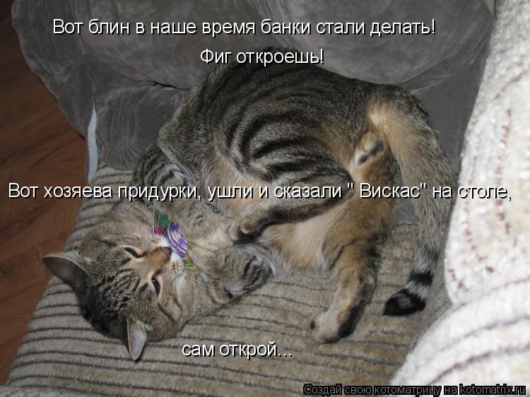 Вот блин в наше время банки стали делать! Фиг откроешь! Вот хозяева придурки, ушли и сказали " Вискас... Котоматрица: Вот блин в наше время банки стали делать! Фиг откроешь! Вот хозяева придурки, ушли и сказали " Вискас" на столе, сам открой...