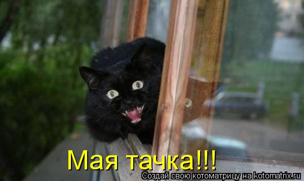 Мая тачка!!!... Котоматрица: Мая тачка!!!