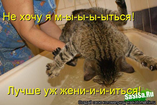 Не хочу я м-ы-ы-ы-ыться! Лучше уж жени-и-и-иться!... Котоматрица: Не хочу я м-ы-ы-ы-ыться! Лучше уж жени-и-и-иться!