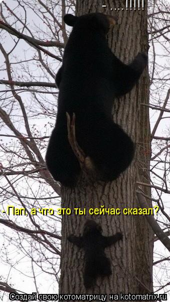 Котоматрица: - ....!!!!! - Пап, а что это ты сейчас сказал?