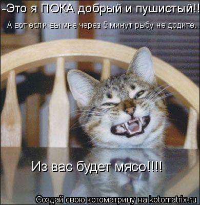 Котоматрица: -Это я ПОКА добрый и пушистый!!! А вот если вы мне через 5 минут рыбу не додите... Из вас будет мясо!!!!