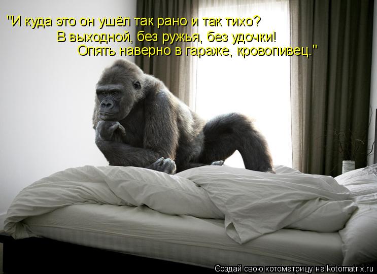 Котоматрица: "И куда это он ушёл так рано и так тихо? В выходной, без ружья, без удочки! Опять наверно в гараже, кровопивец."