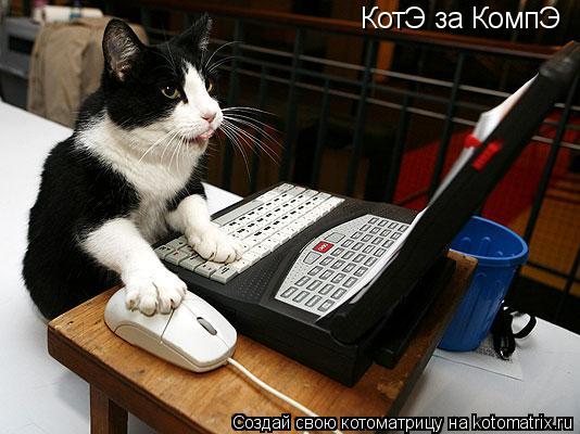 Котоматрица: КотЭ за КомпЭ