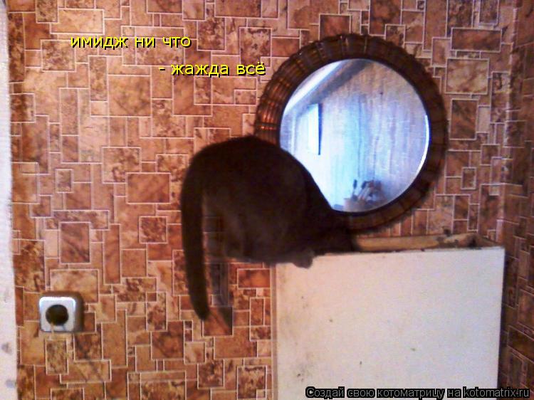 Котоматрица: имидж ни что  - жажда всё