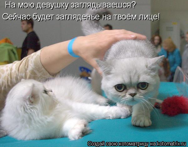 Котоматрица: На мою девушку заглядываешся? Сейчас будет загляденье на твоём лице!