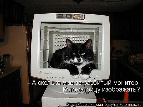 - А сколько мне за разбитый монитор Котоматрицу изображать?... Котоматрица: - А сколько мне за разбитый монитор Котоматрицу изображать?