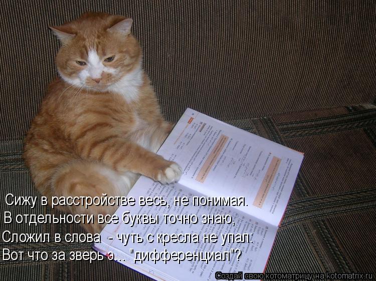Сижу в расстройстве весь, не понимая. В отдельности все буквы точно знаю, Сложил в слова - чуть с кр... Котоматрица: Сижу в расстройстве весь, не понимая. В отдельности все буквы точно знаю, Сложил в слова - чуть с кресла не упал: Вот что за зверь э... "диффере