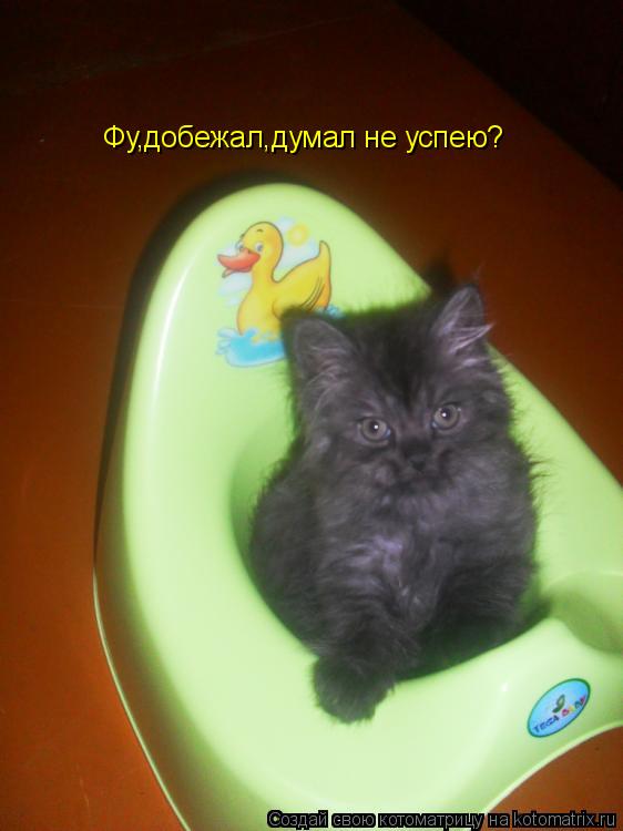 Фу,добежал,думал не успею?... Котоматрица: Фу,добежал,думал не успею?