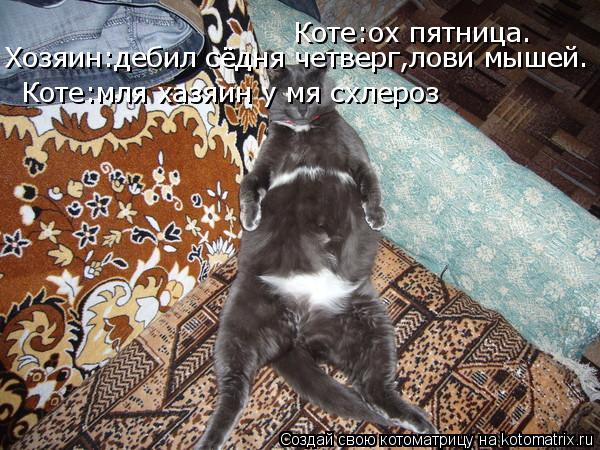 Коте:ох пятница. Хозяин:дебил сёдня четверг,лови мышей. Коте:мля хазяин у мя схлероз... Котоматрица: Коте:ох пятница. Хозяин:дебил сёдня четверг,лови мышей. Коте:мля хазяин у мя схлероз