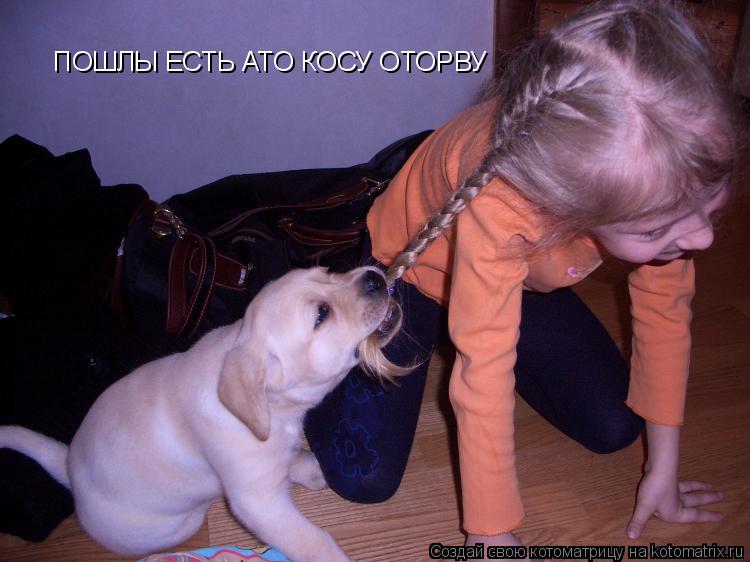 ПОШЛЫ ЕСТЬ АТО КОСУ ОТОРВУ... Котоматрица: ПОШЛЫ ЕСТЬ АТО КОСУ ОТОРВУ