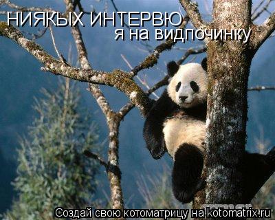 НИЯКЫХ ИНТЕРВЮ я на видпочинку... Котоматрица: НИЯКЫХ ИНТЕРВЮ я на видпочинку