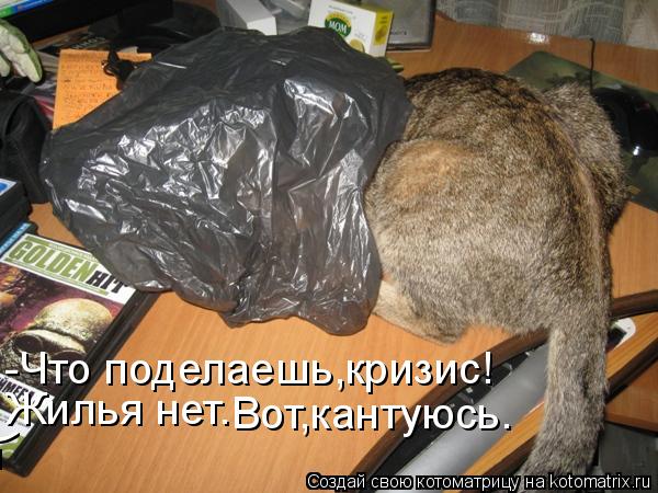 Котоматрица: -Что поделаешь,кризис! Жилья нет. Вот,кантуюсь. =(