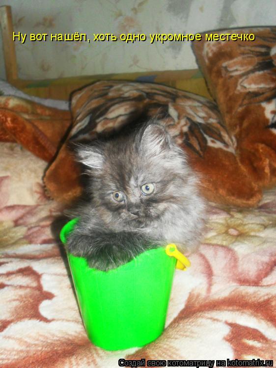 Котоматрица: Ну вот нашёл, хоть одно укромное местечко