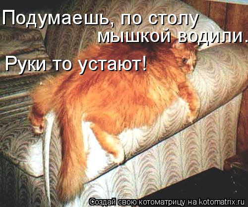 Котоматрица: Подумаешь, по столу  мышкой водили. Руки то устают!