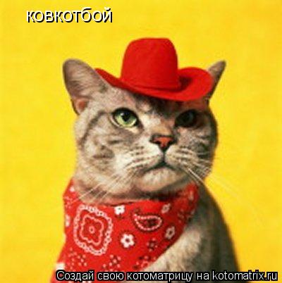 ковкотбой... Котоматрица: ковкотбой