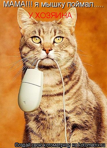 МАМА!!! я мышку поймал..... У ХОЗЯИНА... Котоматрица: МАМА!!! я мышку поймал..... У ХОЗЯИНА