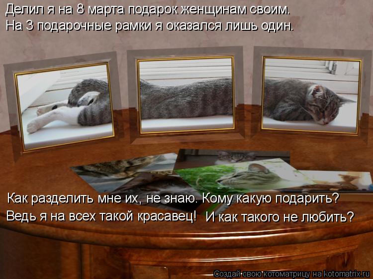 Котоматрица: Делил я на 8 марта подарок женщинам своим. На 3 подарочные рамки я оказался лишь один. Ведь я на всех такой красавец! И как такого не любить? Ка