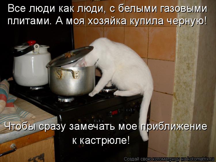 Котоматрица: Все люди как люди, с белыми газовыми  плитами. А моя хозяйка купила черную! Чтобы сразу замечать мое приближение  к кастрюле!
