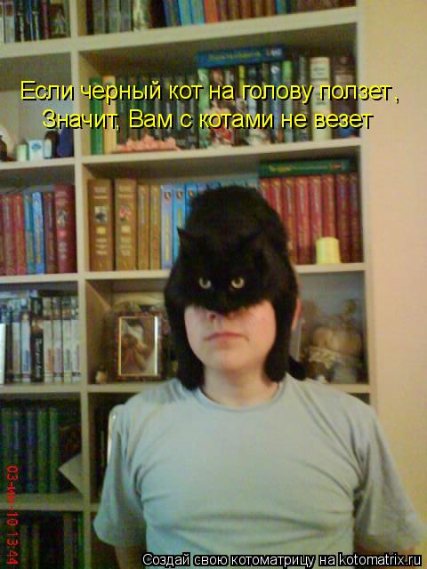 Котоматрица: Если черный кот на голову ползет Значит, Вам с котами не везет ,