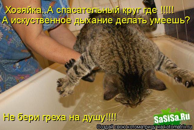 Котоматрица: Хозяйка..А спасательный круг где !!!!!  А искуственное дыхание делать умеешь? Не бери греха на душу!!!!