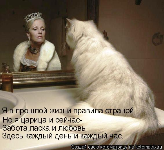Я в прошлой жизни правила страной, Но я царица и сейчас- Забота,ласка и любовь Здесь каждый день и ка... Котоматрица: Я в прошлой жизни правила страной, Но я царица и сейчас- Забота,ласка и любовь Здесь каждый день и каждый час.
